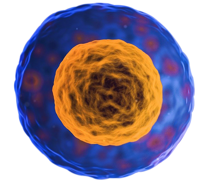 Cellular visualization