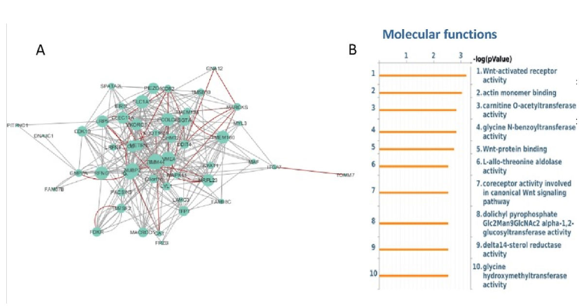 Neurobiology of Learning and Memory
